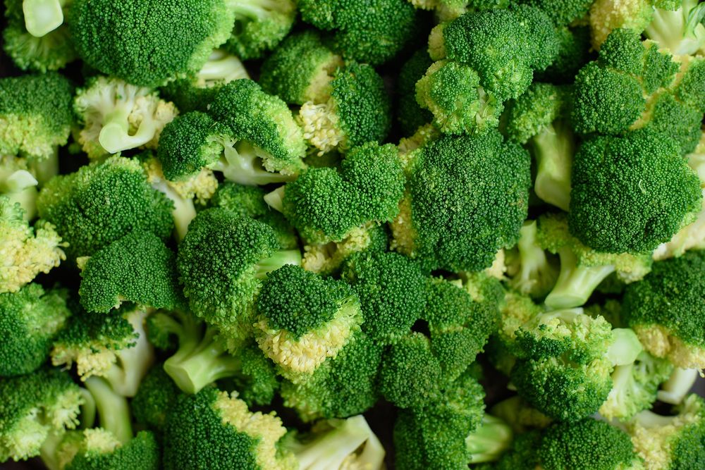 Broccoli – Well being Advantages, Vitamin, Aspect Results and Recipes