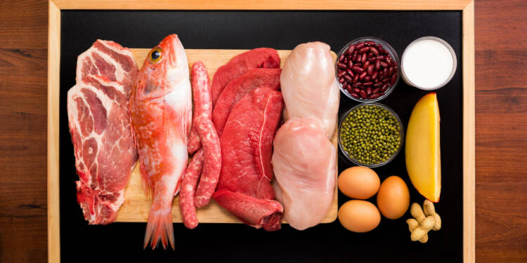 Does Excessive Protein Trigger Weight Acquire? Decoding the Information
