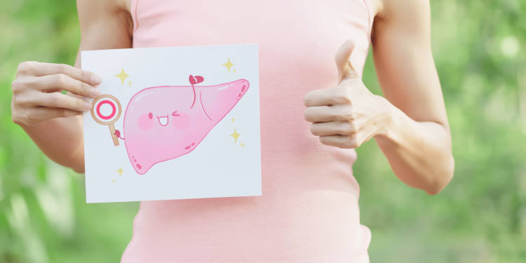 Quickest Technique to Treatment a Fatty Liver: A Information