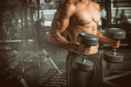 High 5 Bicep Exercises for Sturdy Muscle tissues