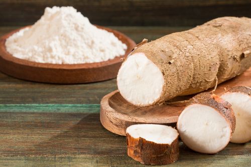 Tapioca – Diet, Advantages, Recipes, and Extra