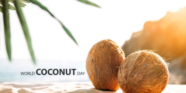 World Coconut Day 2022