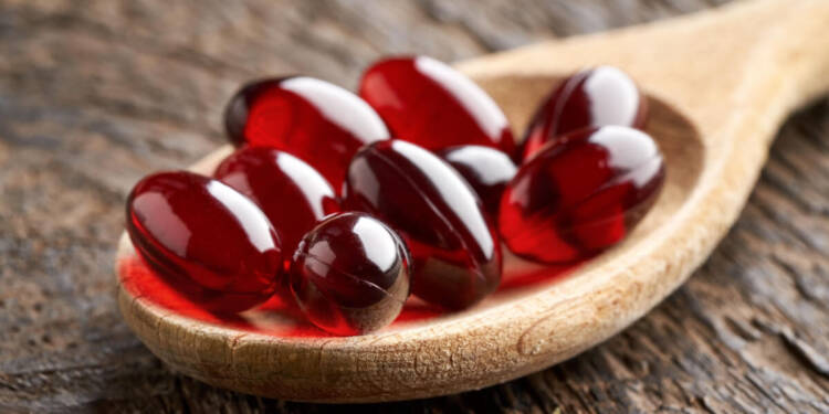 Krill Oil – Well being Advantages and Dietary Properties